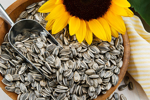 sunflowerseeds